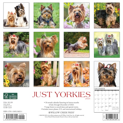 2024 Willow Creek Just Yorkies 12" x 12" Monthly Wall Calendar, Multicolor (36051)