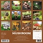 2024 Willow Creek Mushrooms (The Art of the) 12" x 12" Monthly Wall Calendar, Multicolor (37447)