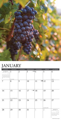 2024 Willow Creek Vineyards 12" x 12" Monthly Wall Calendar, Multicolor (37751)
