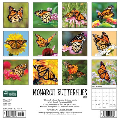 2024 Willow Creek Monarch Butterflies 12 x 12 Monthly Wall Calendar, Multicolor (37713)