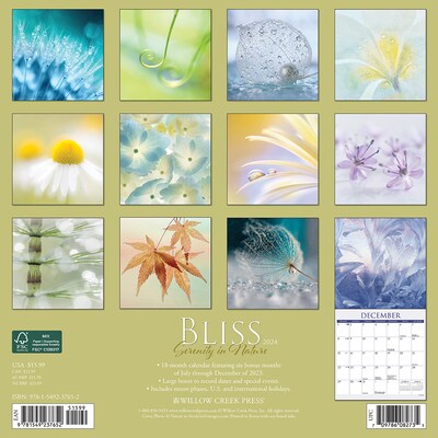 2024 Willow Creek Bliss—Serenity in Nature 12 x 12 Monthly Wall Calendar, Multicolor (37652)