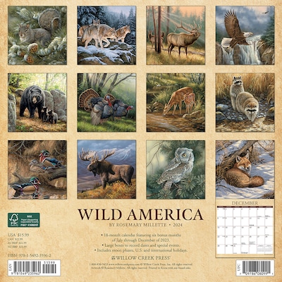 2024 Willow Creek Wild America 12" x 12" Monthly Wall Calendar, Multicolor (35962)