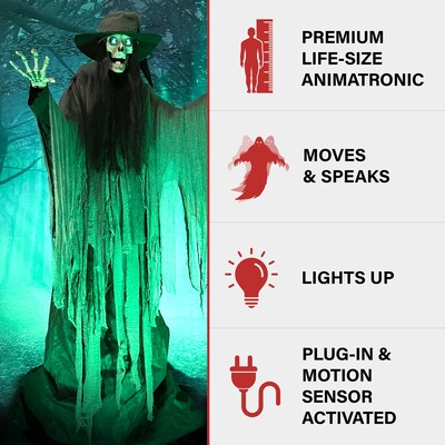 Haunted Hill Farm 7.5 Tall Motion-Activated Macabre Skeleton Witch Halloween Decoration (HHMCWITCH-1FLSA)