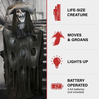 Haunted Hill Farm Animatronic Shaking Pirate (HHPIRATE-1FLSA)