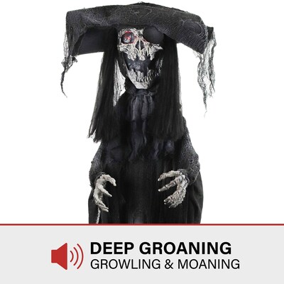 Haunted Hill Farm Animatronic Shaking Pirate (HHPIRATE-1FLSA)