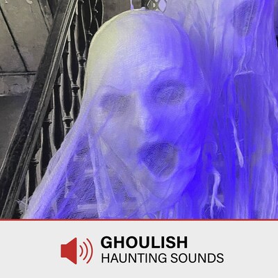 Haunted Hill Farm Animatronic Floating Ghost Heads of Halloween with Blue Glowing Lights Scary Decoration (HHSKEL-12HLSA)