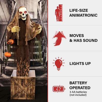 Haunted Hill Farm Animatronic Skeleton in a Box Scary Halloween Decoration (HHSKEL-14FLSA)