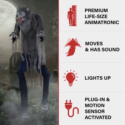 Haunted Hill Farm 7 Tall Motion-Activated Towering Werewolf (HHTWRWOLF-1FLSA)
