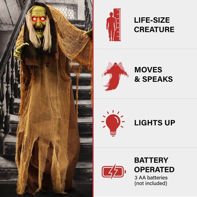 Haunted Hill Farm Animatronic Talking Hunchback Witch (HHWITCH-41FLSA)