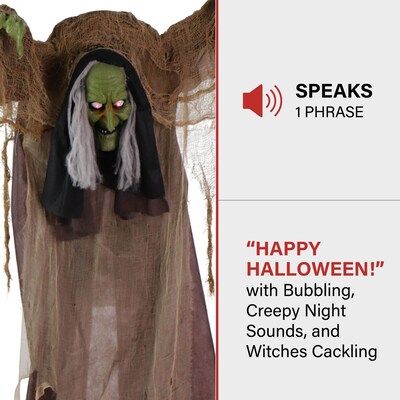 Haunted Hill Farm Animatronic Talking Hunchback Witch (HHWITCH-41FLSA)