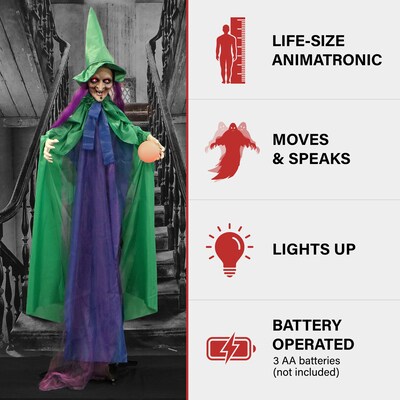 Haunted Hill Farm Animatronic Talking Fortune Teller Witch with Crystal Ball (HHWITCH-42FLSA)