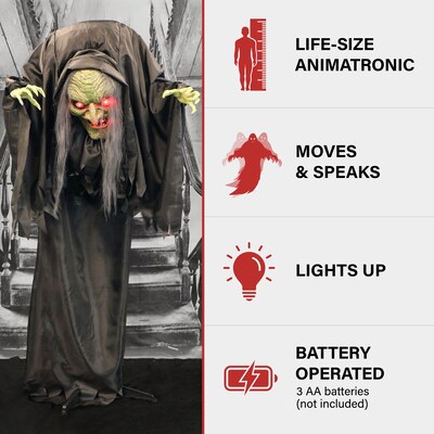 Haunted Hill Farm Animatronic Talking Hunchback Witch Scary Halloween Decoration (HHWITCH-43FLSA)