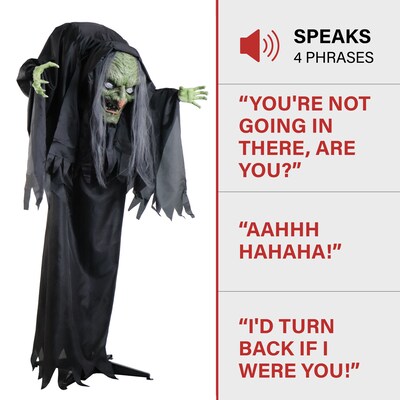 Haunted Hill Farm Animatronic Talking Hunchback Witch Scary Halloween Decoration (HHWITCH-43FLSA)