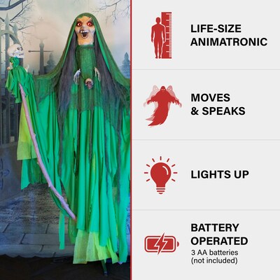 Haunted Hill Farm Animatronic Shaking, Talking Voodoo Swamp Witch Halloween Decoration (HHWITCH-45FLSA)