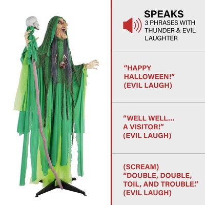 Haunted Hill Farm Animatronic Shaking, Talking Voodoo Swamp Witch Halloween Decoration (HHWITCH-45FLSA)