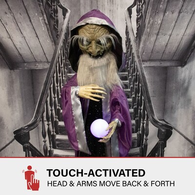 Haunted Hill Farm Animatronic Talking Wizard & Crystal Ball (HHWIZARD-1FLSA)