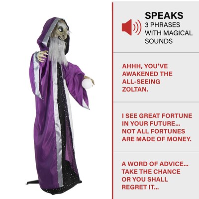 Haunted Hill Farm Animatronic Talking Wizard & Crystal Ball (HHWIZARD-1FLSA)