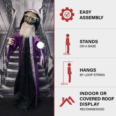 Haunted Hill Farm Animatronic Talking Wizard & Crystal Ball (HHWIZARD-1FLSA)
