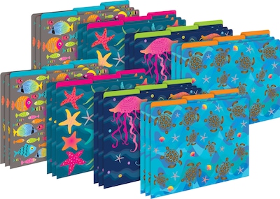 Barker Creek File Folder Set, 1/3-Cut Tab, Letter Size, Kai Ola, 24/Set (4382)