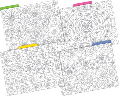 Barker Creek Color Me! File Folder Set, 1/3-Cut Tab, Letter Size, In My Garden, 24/Set (4386)