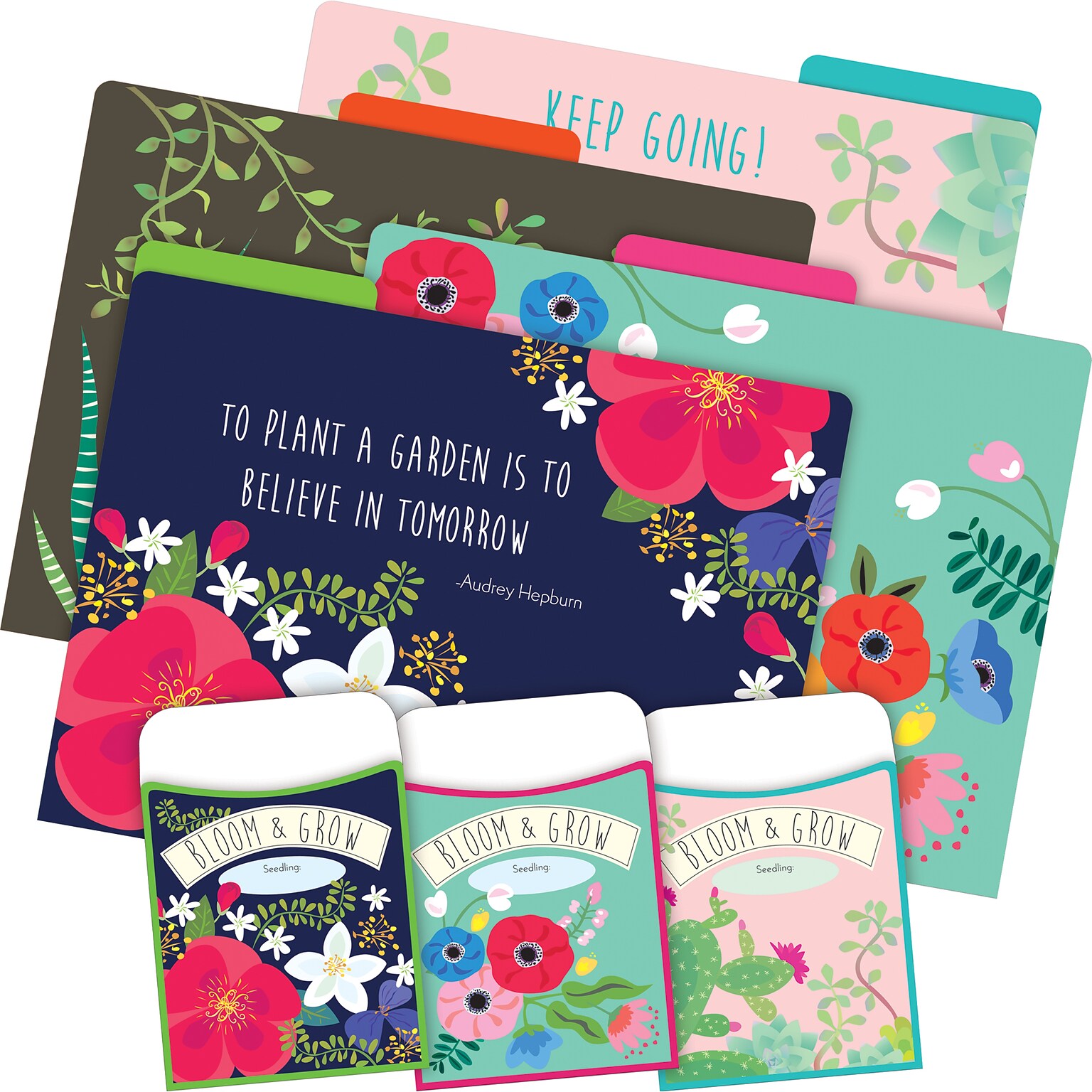 Barker Creek Petals & Prickles File Folder, 1/3-Cut Tab, Letter Size, Assorted Colors, 42/Set (4418)