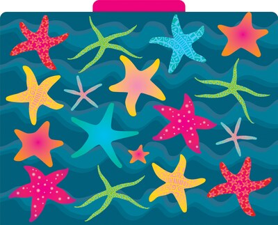 Barker Creek Kai Ola File Folder, 1/3-Cut Tab, Letter Size, Assorted Colors, 12/Pack (2006)