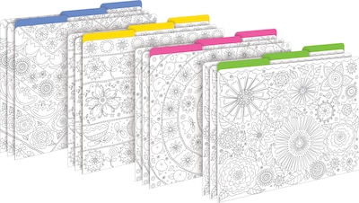 Barker Creek Color Me! File Folder Set, 1/3-Cut Tab, Letter Size, In My Garden, 12/Pack (2008)