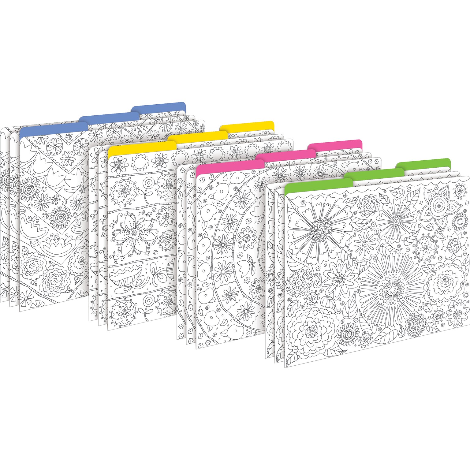 Barker Creek Color me! In My Garden File Folder, 1/3-Cut Tab, Letter Size, Assorted Colors, 12/Pack (2008)