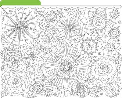 Barker Creek Color me! In My Garden File Folder, 1/3-Cut Tab, Letter Size, Assorted Colors, 12/Pack (2008)