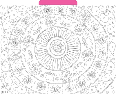 Barker Creek Color me! In My Garden File Folder, 1/3-Cut Tab, Letter Size, Assorted Colors, 12/Pack (2008)