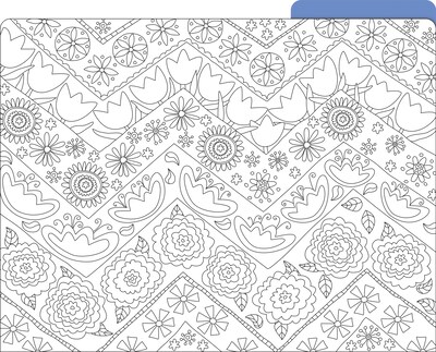 Barker Creek Color me! In My Garden File Folder, 1/3-Cut Tab, Letter Size, Assorted Colors, 12/Pack (2008)
