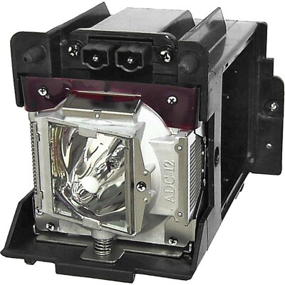 Digital Projection OEM Projector Lamp # 114-303