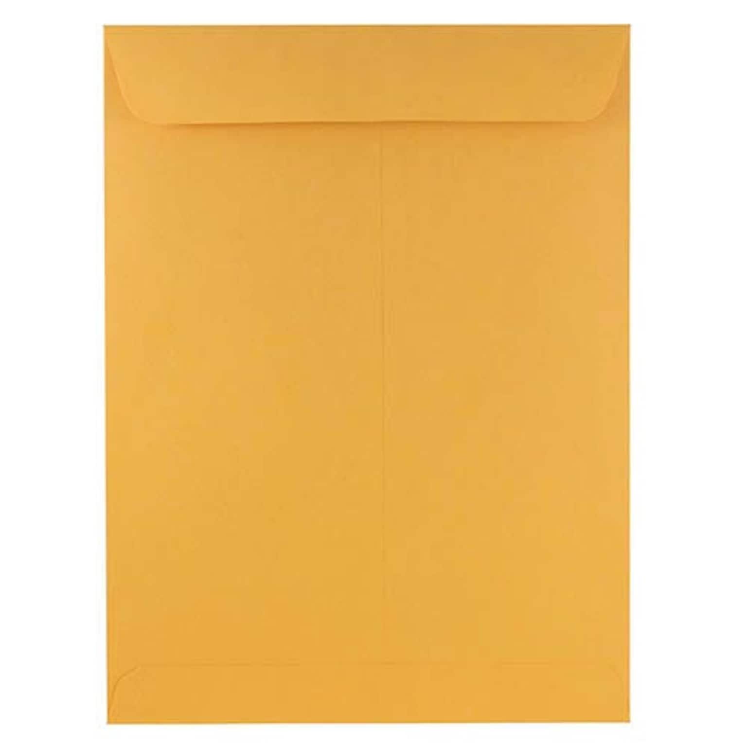 JAM Paper Open End Booklet Envelopes, 9 x 12, Brown Kraft, 250/Pack (8383-250)