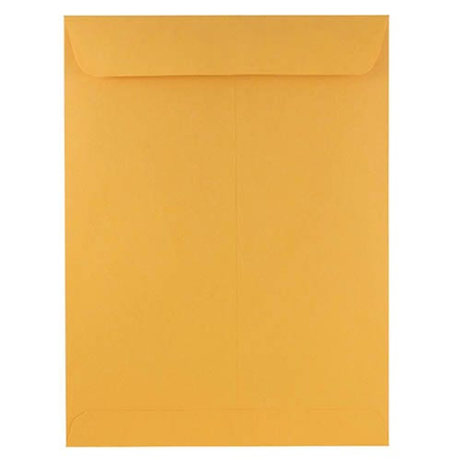 JAM Paper Open End Booklet Envelopes, 9 x 12, Brown Kraft, 250/Pack (8383-250)