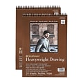 Strathmore 400 Series Heavyweight Drawing Paper, 9 in. x 12 in. Pad of 24 Sheets, 2/Pack (PK2-400-20