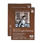 Strathmore 400 Series Heavyweight Drawing Paper, 9 in. x 12 in. Pad of 24 Sheets, 2/Pack (PK2-400-209-1)
