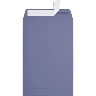 JAM Paper Open End Envelopes, 6 x 9, Wisteria Purple, 250 Pack (1644-106-250)