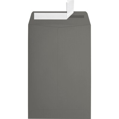 JAM Paper 6 x 9 Open End Envelopes, Smoke Gray, 50 Pack (EX1644-22-50)