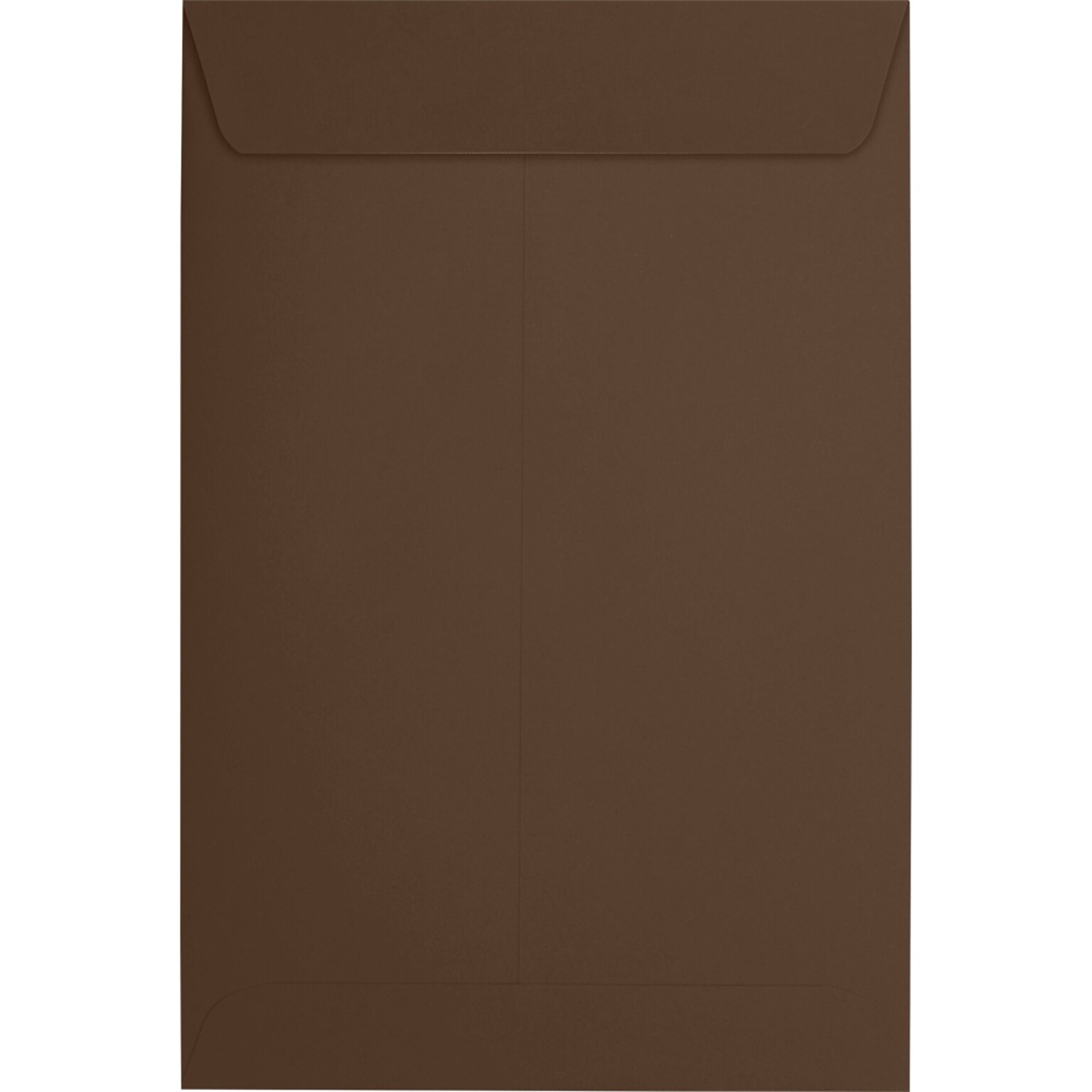 JAM Paper 6 x 9 Open End Envelopes ,Chocolate , 50 Pack, Brown (EX1644-17-50)
