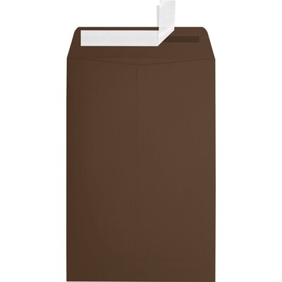 JAM Paper 6 x 9 Open End Envelopes ,Chocolate , 50 Pack, Brown (EX1644-17-50)