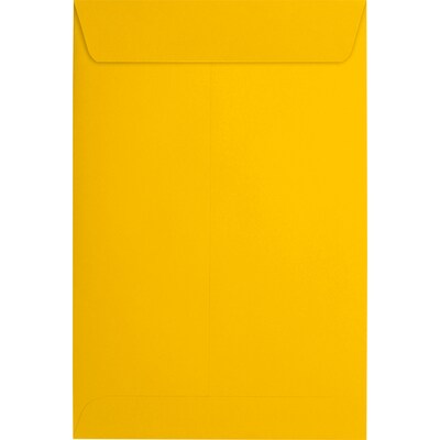 JAM Paper 6 x 9 Open End Envelopes, Sunflower, 250/Pack (EX1644-12-250)