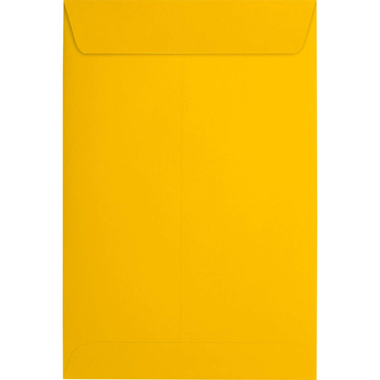 JAM Paper 6 x 9 Open End Envelopes, Sunflower, 250/Pack (EX1644-12-250)