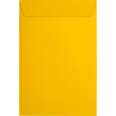 JAM Paper 6 x 9 Open End Envelopes, Sunflower, 500/Pack (EX1644-12-500)