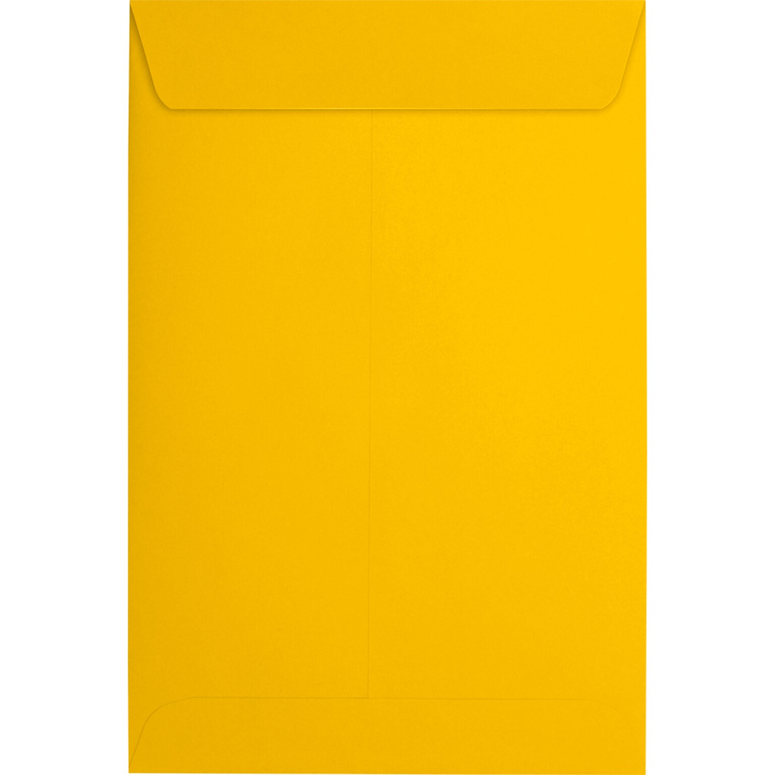 JAM Paper 6 x 9 Open End Envelopes, Sunflower, 500/Pack (EX1644-12-500)