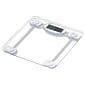 Taylor Precision Products Digital Glass Scale (75274192)