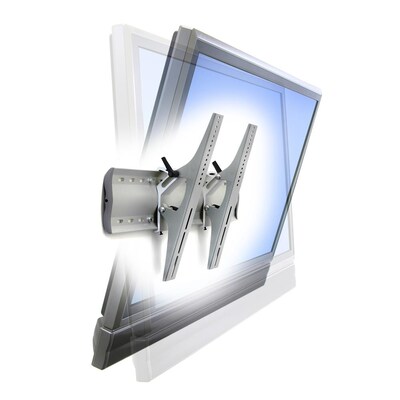 Ergotron TM Adjustable Single Arm Wall Mount, XL, 42" Screen Support, Silver (61-142-003)
