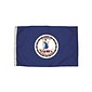 Independence Flag Nylon Virginia Flag with Heading and Grommets, 3x5 ft (FZ-2452051)