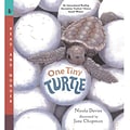 Candlewick Press® One Tiny Turtle
