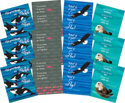 Barker Creek What if You Fly Posters, 12/Set (4197)