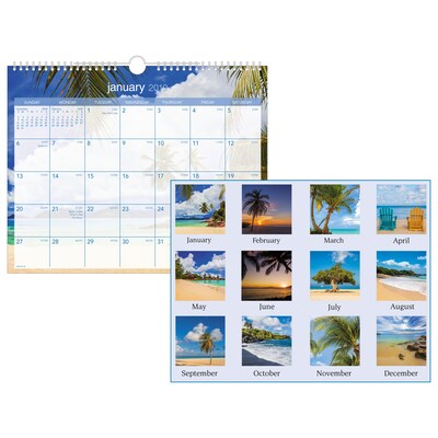 2019 AT-A-GLANCE® Tropical Escape Wall Calendar, 12 Months, January Start, 15 x 12, Wirebound (DMWTE8-28-19)